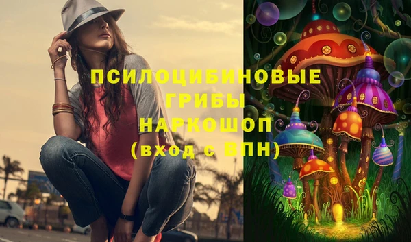 дживик Няндома