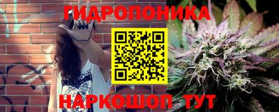 jwh Кингисепп