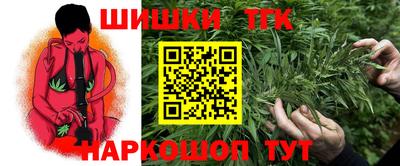jwh Кингисепп