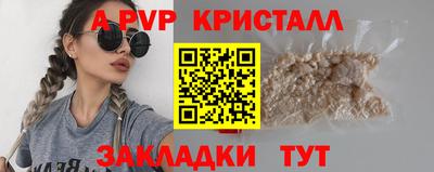 jwh Кингисепп