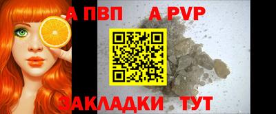 jwh Кингисепп