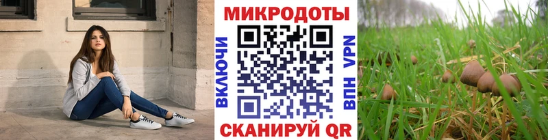 купить   Сызрань  shop как зайти  Псилоцибиновые грибы Psilocybine cubensis 