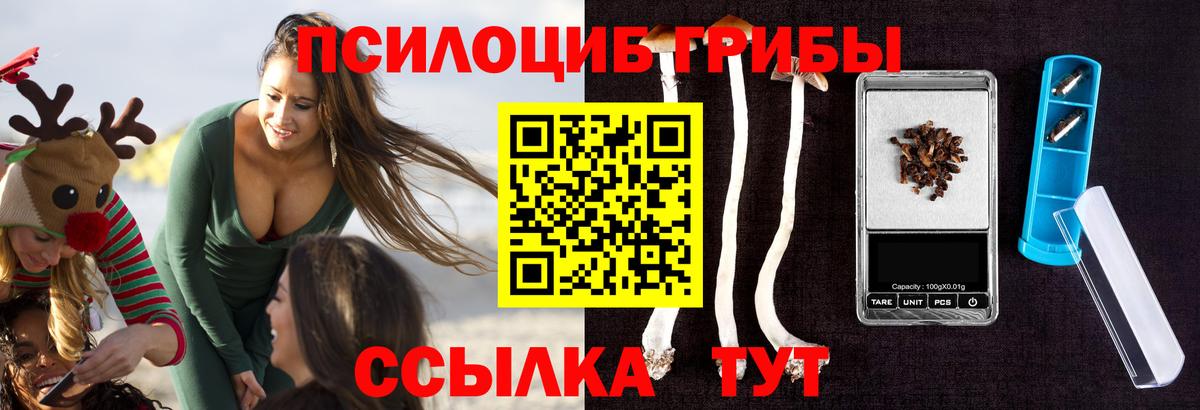 Псилоцибиновые грибы мицелий  Вход с VPN  Сызрань  Галлюциногенные грибы прущие грибы 