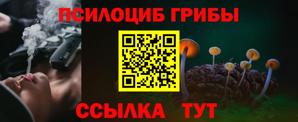 Галлюциногенные грибы Psilocybe Сызрань